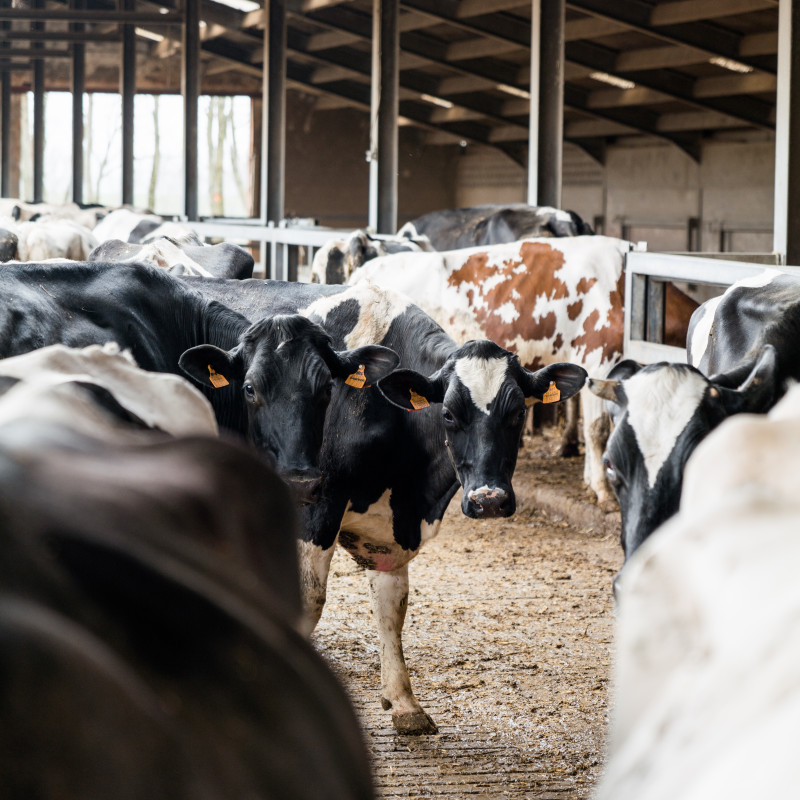 Actimel is carbon-neutral and is already working on upcoming